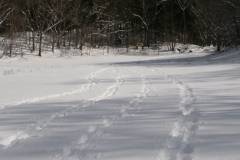 Snow Hiking (Shiobara)