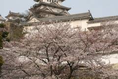 Himeji Castle