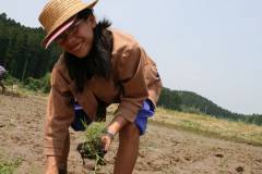 Rice Transplant